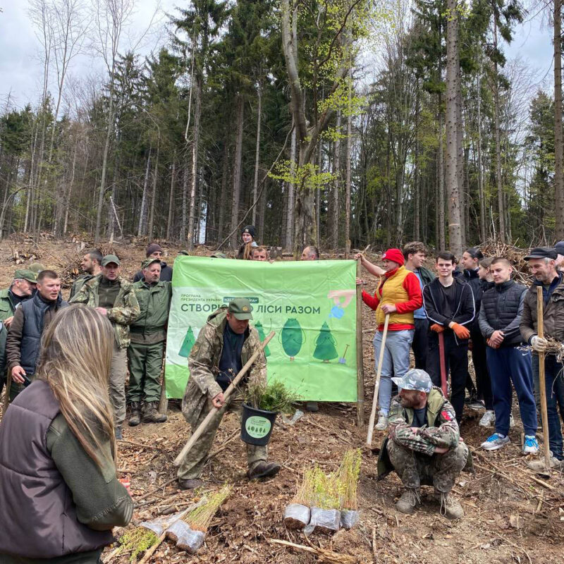 Майбутні лісівники: практика, що формує професіоналів